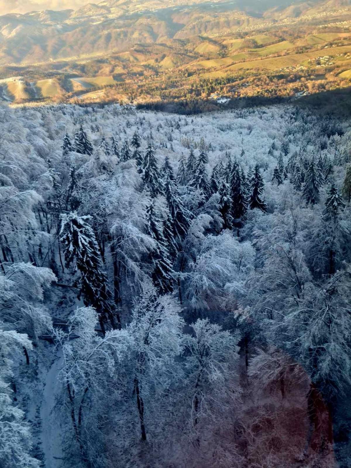 Appartamento Foxi Apartment, Pohorje